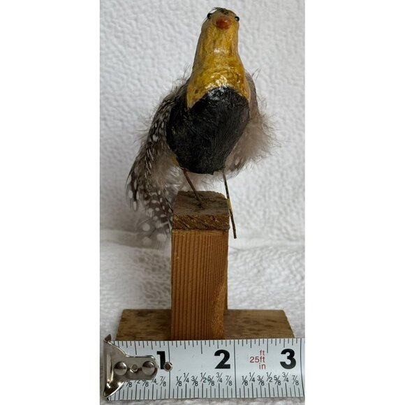 Antique German Made Paper Mache Bird Possibly Sandgrouse Real Feathers Wood Base - Picture 10 of 14